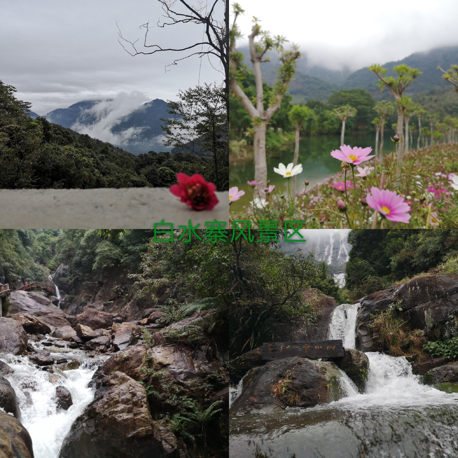 1627119476847084.jpg 119.jpg